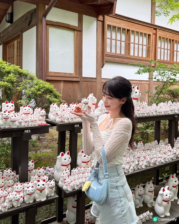 🇯🇵日本東京超治癒招財貓寺廟⛩️🐾