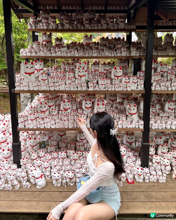 🇯🇵日本東京超治癒招財貓寺廟⛩️🐾
