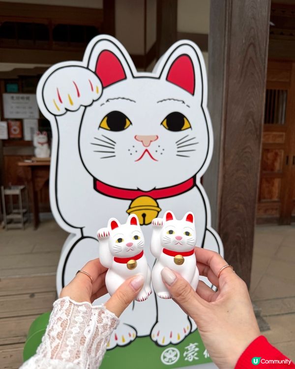 🇯🇵日本東京超治癒招財貓寺廟⛩️🐾