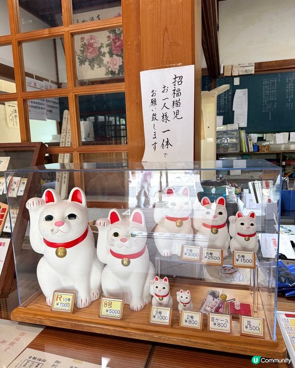 🇯🇵日本東京超治癒招財貓寺廟⛩️🐾