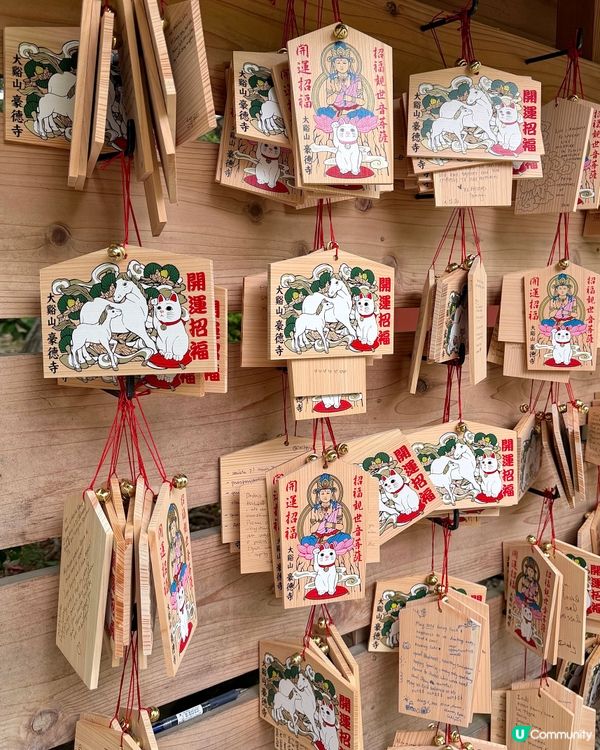 🇯🇵日本東京超治癒招財貓寺廟⛩️🐾