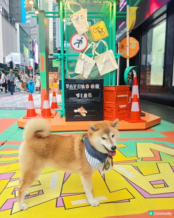「百德新派」街頭藝術展覽！由藍綠網格幾何樓梯 🧩、街頭塗鴉油...