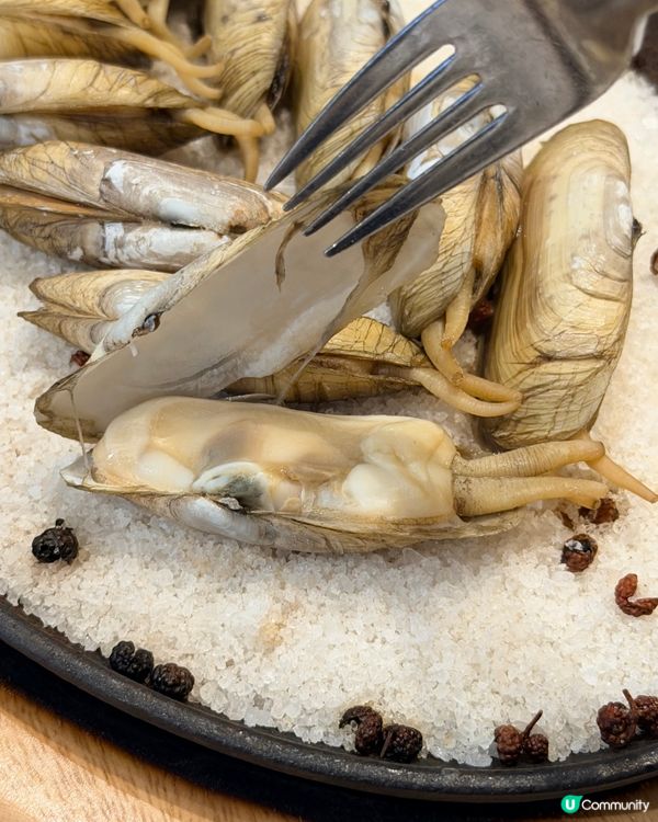 鐵板蟶子鮮又彈 😋