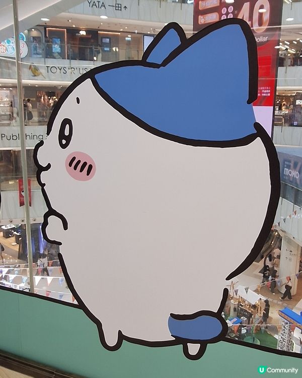 入到去！