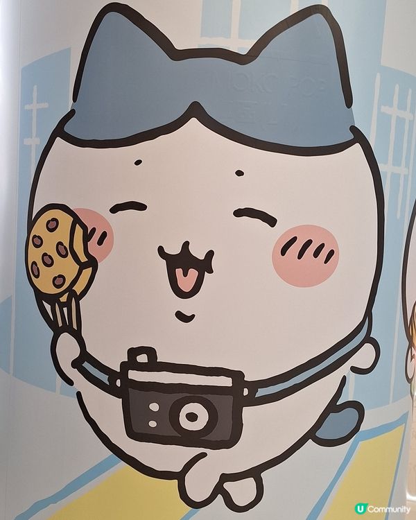入到去！