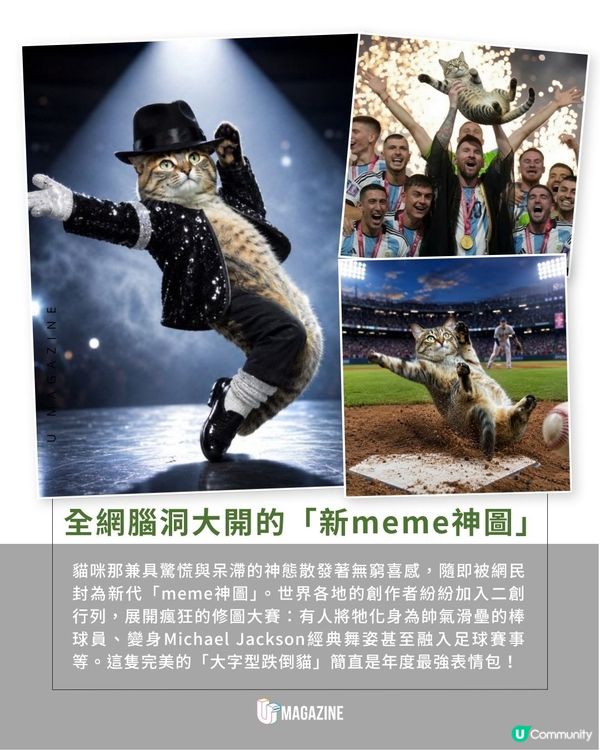 日本婆婆意外捕捉貓咪滑倒瞬間 ｜ 1.7億次觀看！「貓界新meme圖」誕生