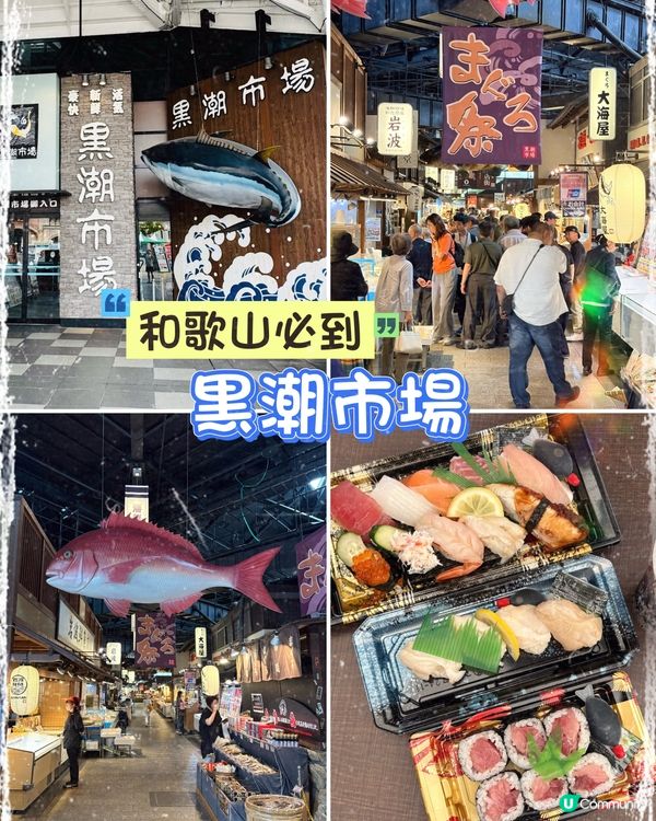 黑潮市場｜和歌山必去海鮮聖地，一次滿足吃喝買玩！