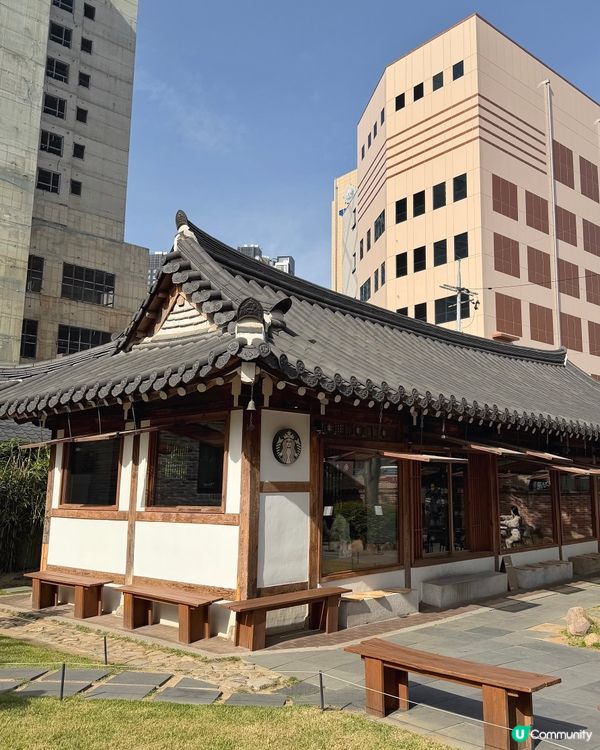 🇰🇷釜山出發45分鐘！韓國大邱一日遊好去處✨