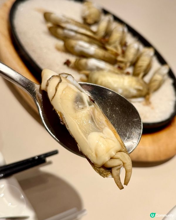 [勞蘇食]必食蟶菜式🧜🏻