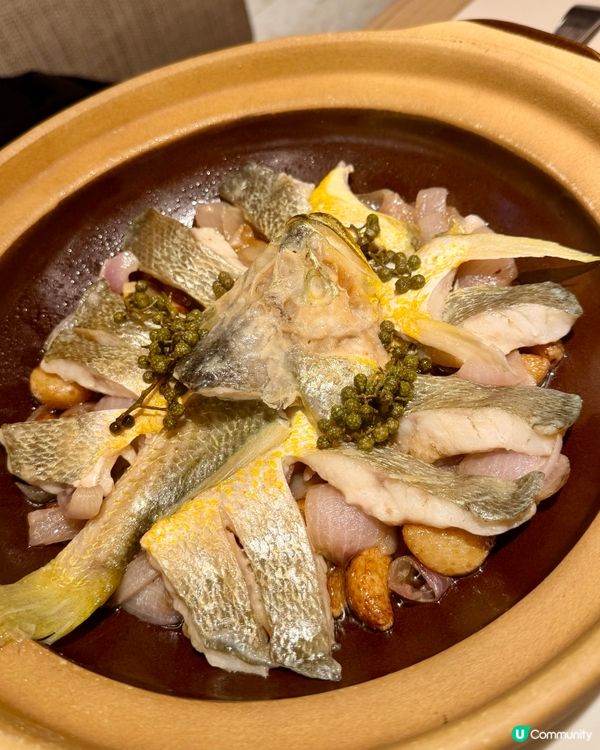[勞蘇食]必食蟶菜式🧜🏻