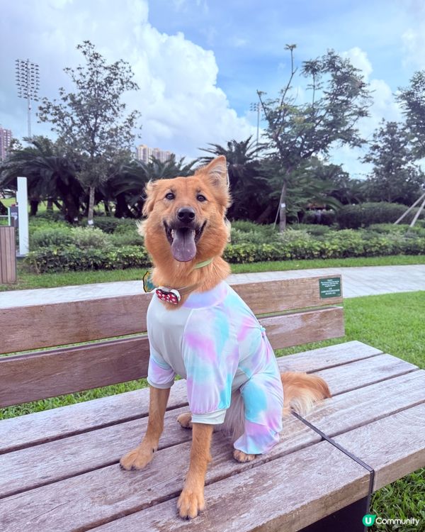 彭福公園爸媽帶我行！🐕💨