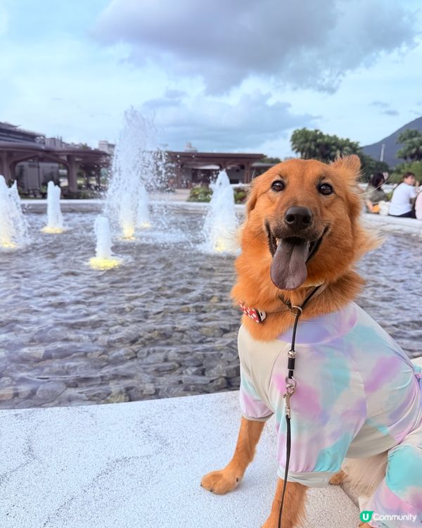 彭福公園爸媽帶我行！🐕💨