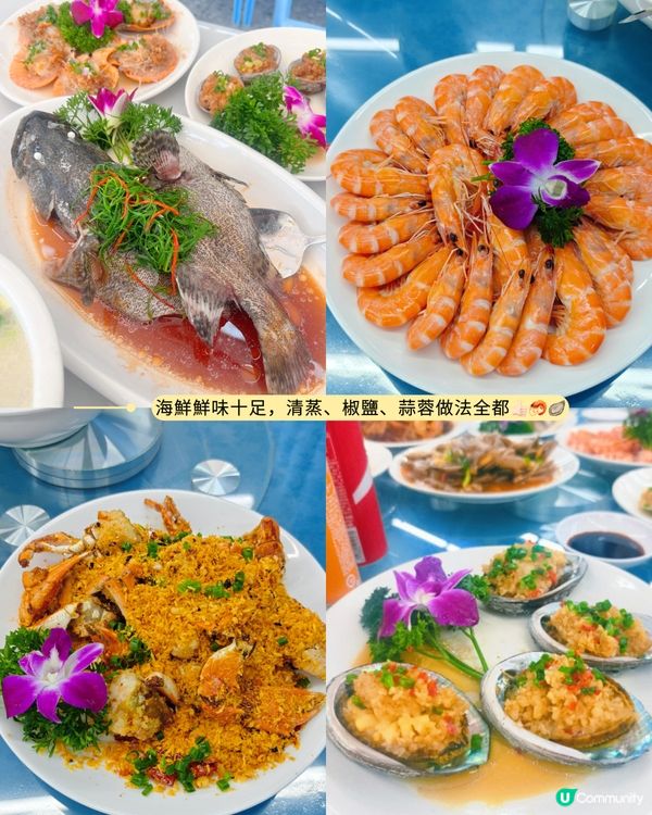 官湖Weekend🌊飲啡食鮮🦀 | 人均幾十海鮮自由！