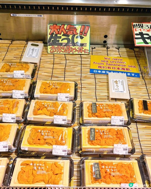 西日本必到海鮮市集🐟每日新鮮直送🌊とれとれ市場