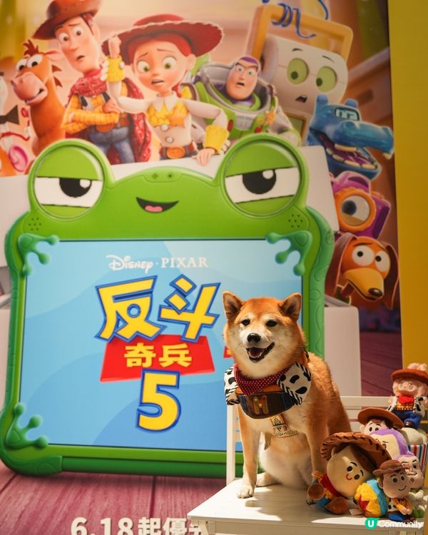 同狗狗一齊入戲院睇toy story💕
