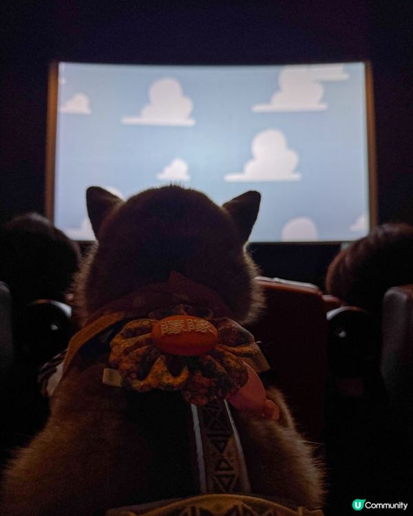 同狗狗一齊入戲院睇toy story💕