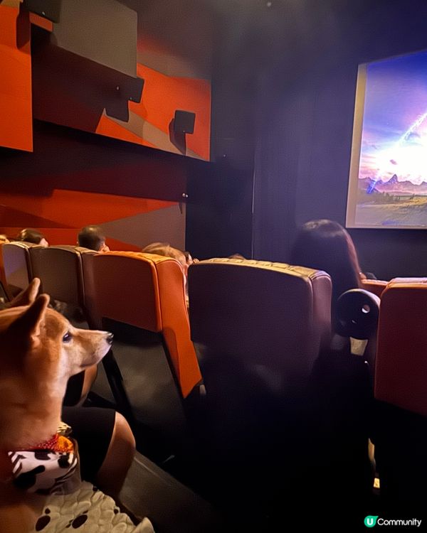 同狗狗一齊入戲院睇toy story💕