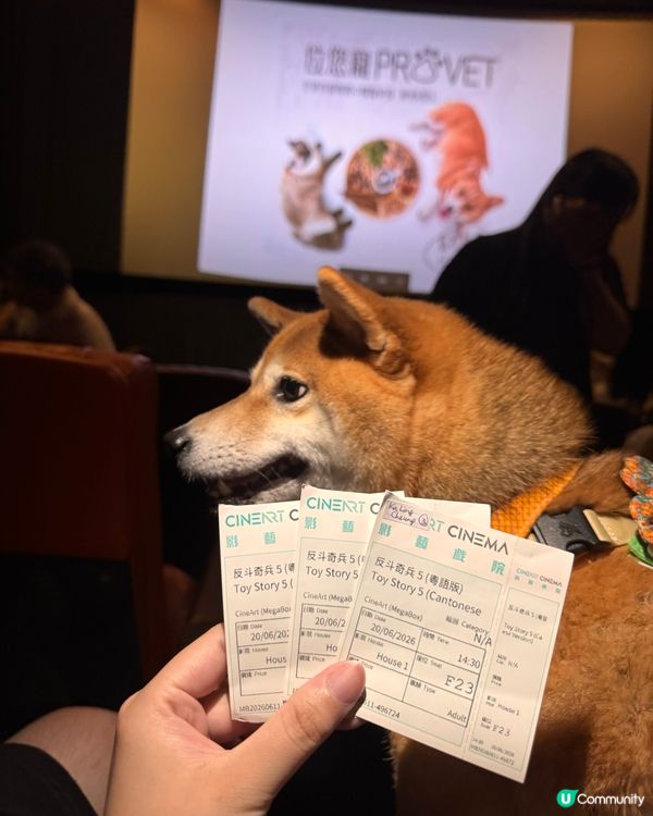 同狗狗一齊入戲院睇toy story💕