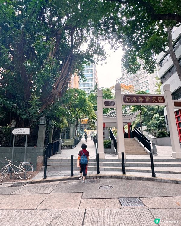 灣仔「城市綠洲」🌸 歷史故事賞 😍