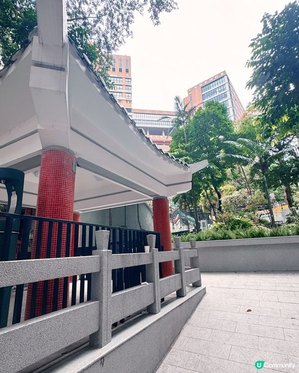 灣仔「城市綠洲」🌸 歷史故事賞 😍