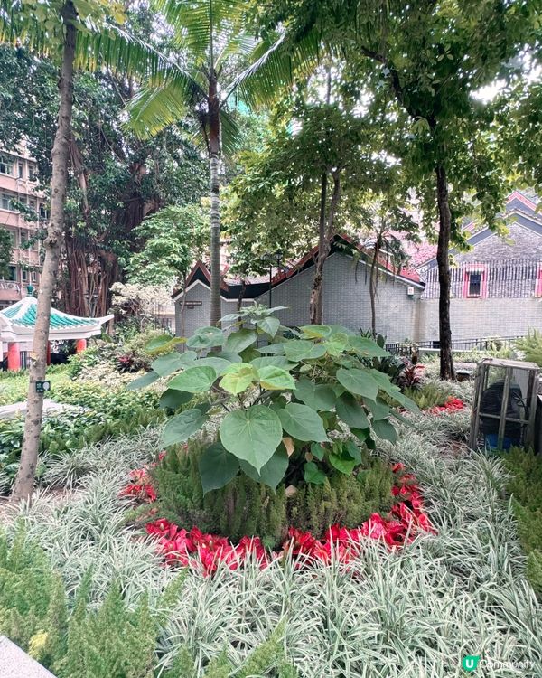灣仔「城市綠洲」🌸 歷史故事賞 😍