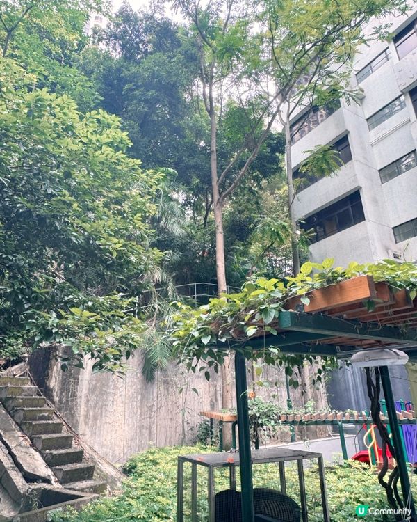 灣仔「城市綠洲」🌸 歷史故事賞 😍