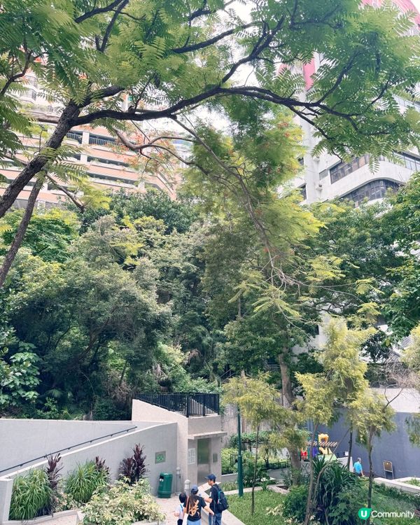 灣仔「城市綠洲」🌸 歷史故事賞 😍
