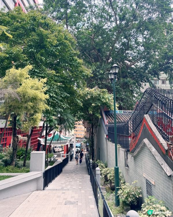 灣仔「城市綠洲」🌸 歷史故事賞 😍