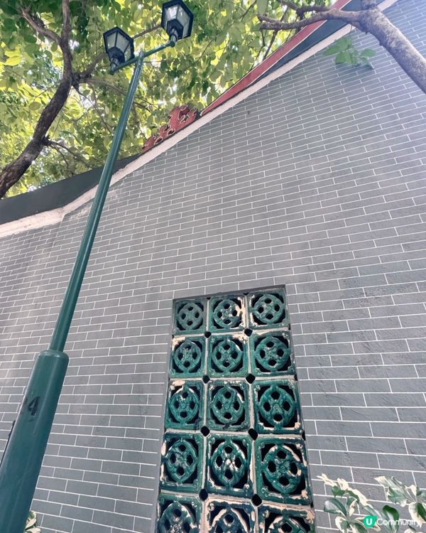 灣仔「城市綠洲」🌸 歷史故事賞 😍