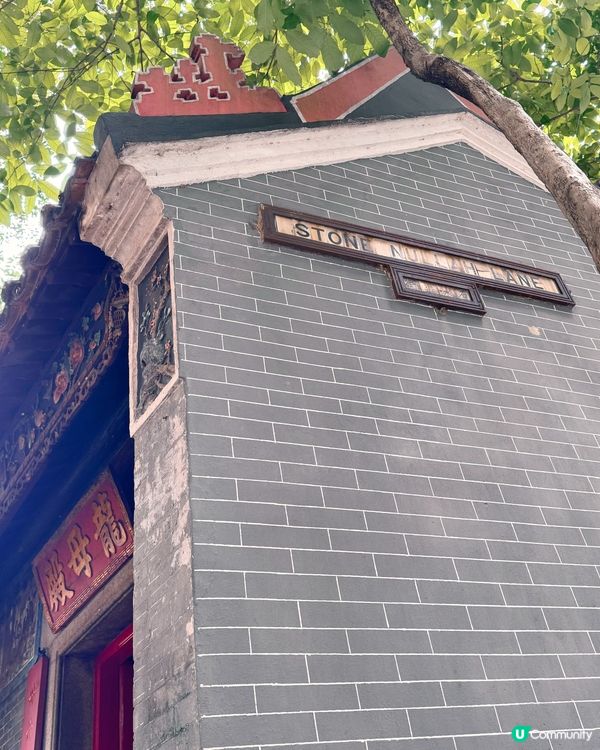 灣仔「城市綠洲」🌸 歷史故事賞 😍