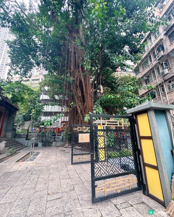 🇭🇰灣仔玉虛宮📝（北帝廟）