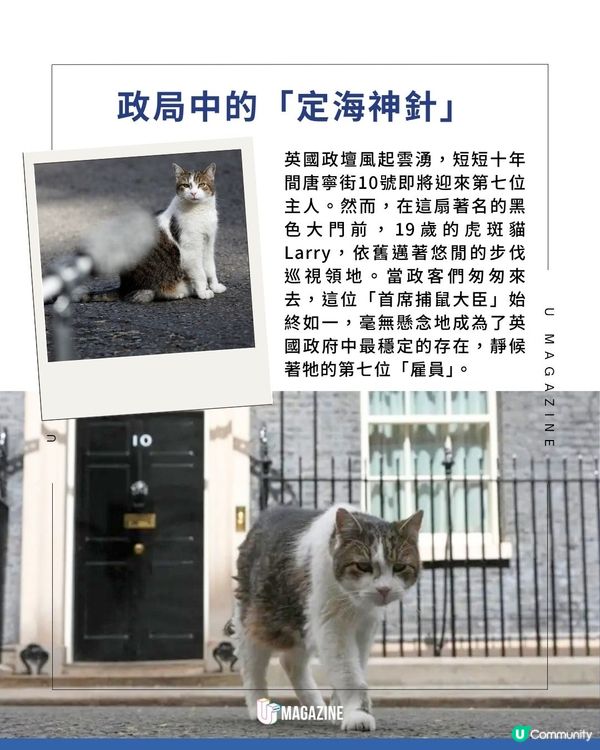 英國19歲「首席捕鼠大臣」送走6位首相| 穩坐唐寧街15年、淡定迎接第7任新首相                                                    