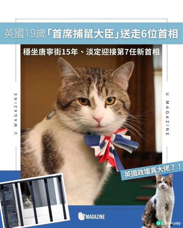 英國19歲「首席捕鼠大臣」送走6位首相| 穩坐唐寧街15年、淡定迎接第7任新首相                                                    