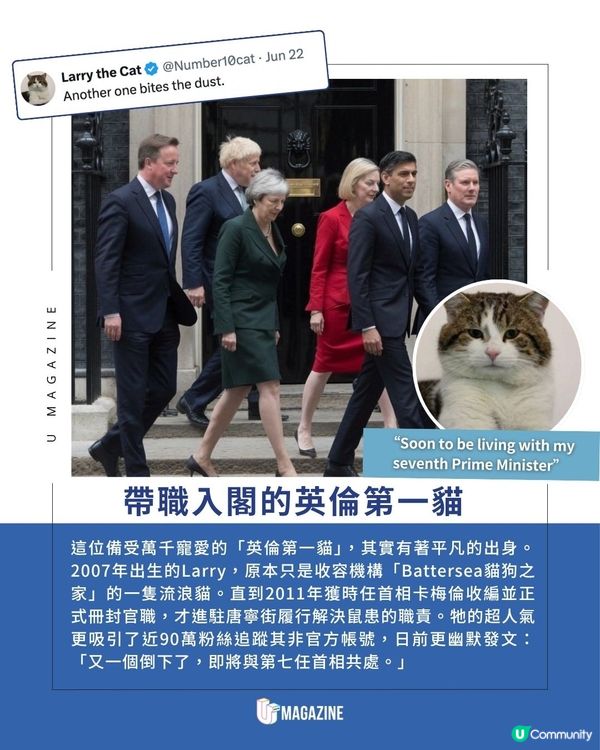 英國19歲「首席捕鼠大臣」送走6位首相| 穩坐唐寧街15年、淡定迎接第7任新首相                                                    