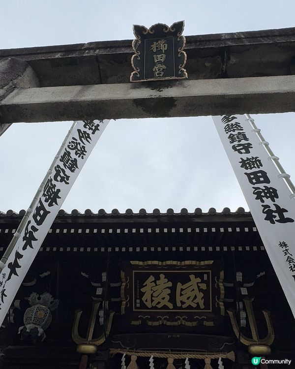 【2026福岡獨遊】很大的山笠