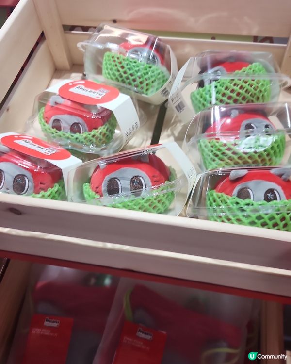 TXT popup store 粉絲必去必買