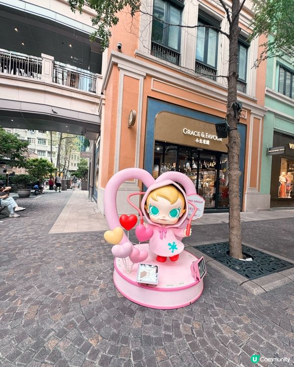 ✨《MOLLY 閃耀之旅 – 追蹤星光軌跡》✨