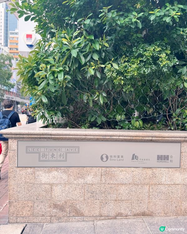 ✨《MOLLY 閃耀之旅 – 追蹤星光軌跡》✨