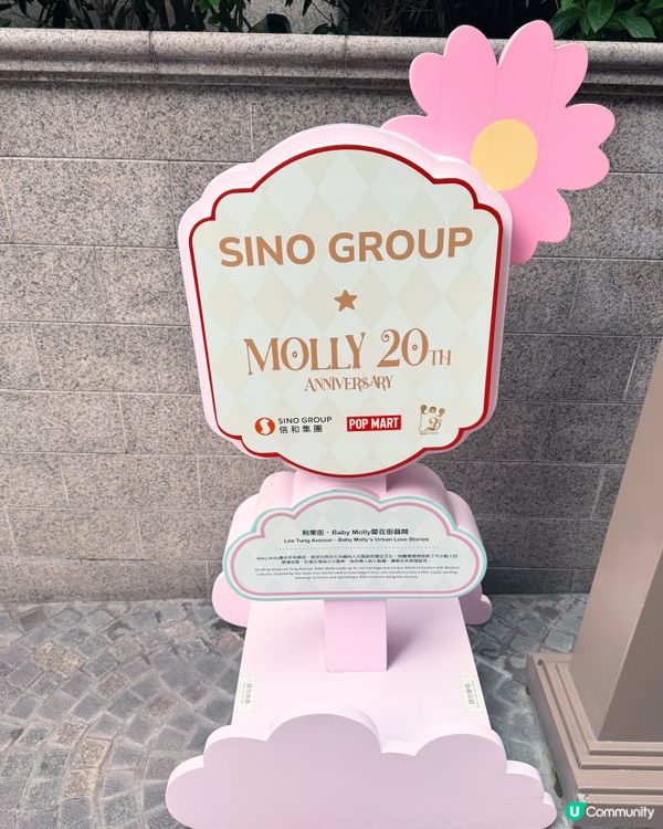 ✨《MOLLY 閃耀之旅 – 追蹤星光軌跡》✨