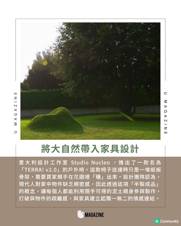 在花園親手「種」一張沙發？                                                    