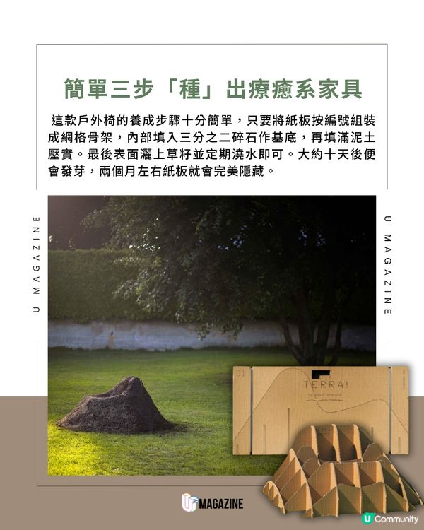 在花園親手「種」一張沙發？                                                    