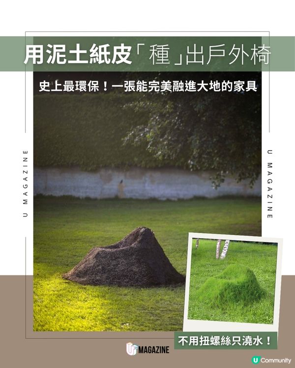 在花園親手「種」一張沙發？                                                    