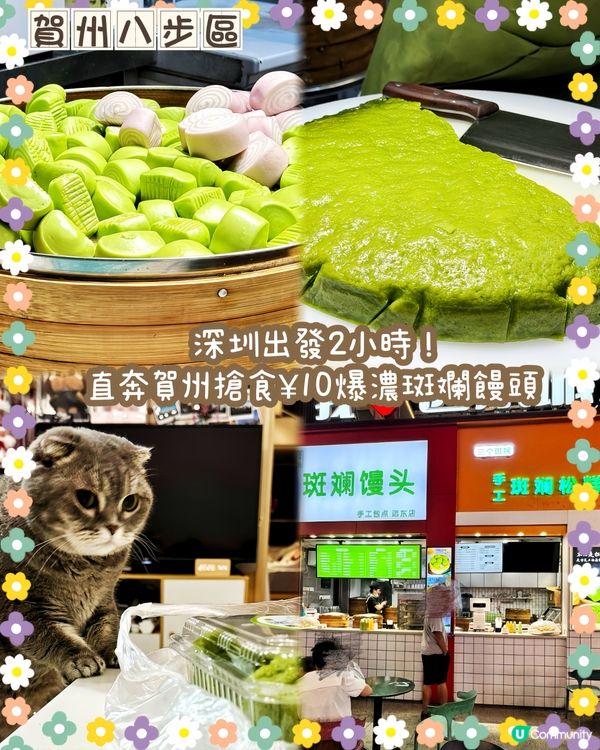 斑斕饅頭🇲🇾 好味又特別😋