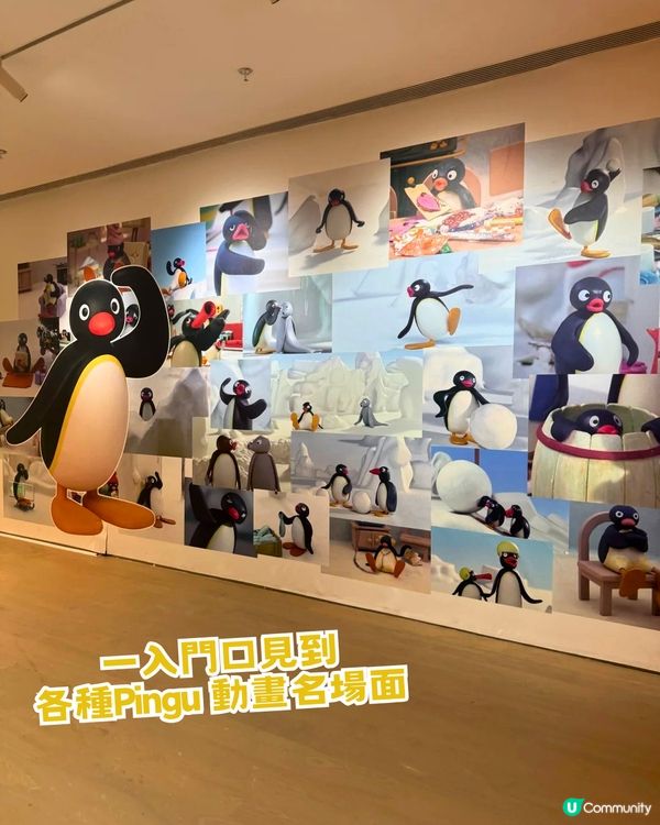 深圳PINGU企鵝45周年藝術展🐧4大亮點! 免費打卡巨型Pingu/45種藝術造型//200款獨家新品
