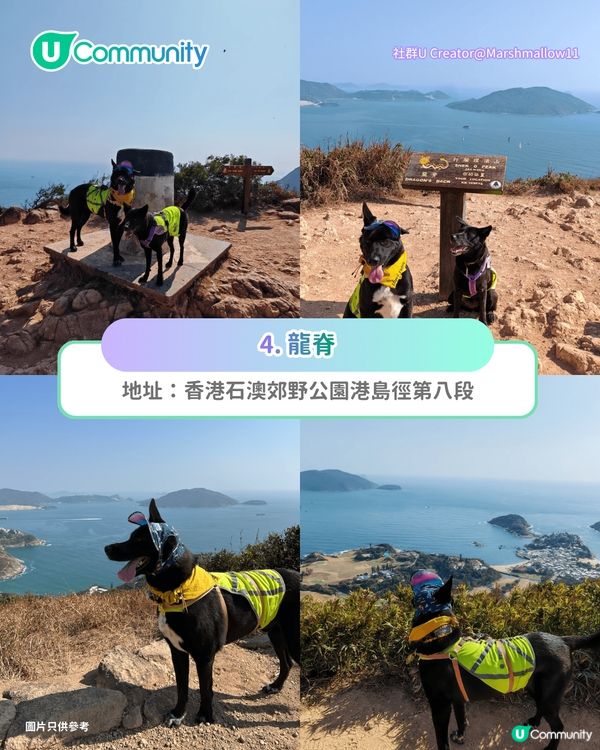 【親子假日好去處】港島10大一日遊路線推介 必食餐廳／全新室內競技場／戶外好去處                                                     