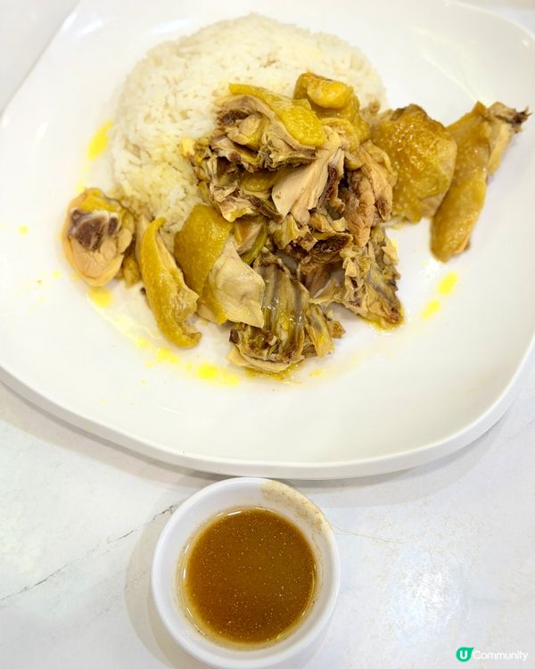 🍳 大圍街坊飯堂!必試招牌手打肉餅
