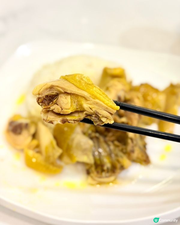 🍳 大圍街坊飯堂!必試招牌手打肉餅