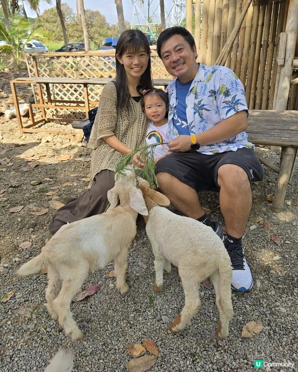 清邁親子遊 🌴🥥