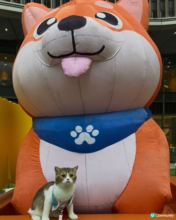 趁住放假專登帶左主子一齊出去放電🐾💖