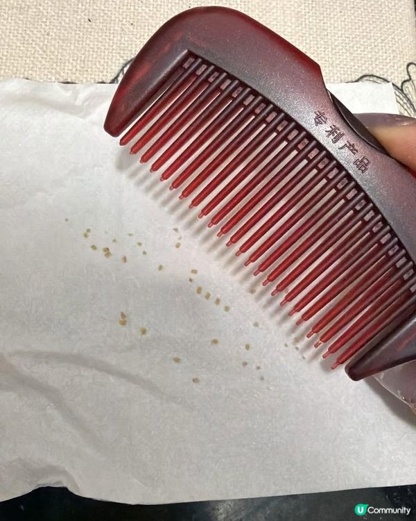 極推大家買呢把梳！！